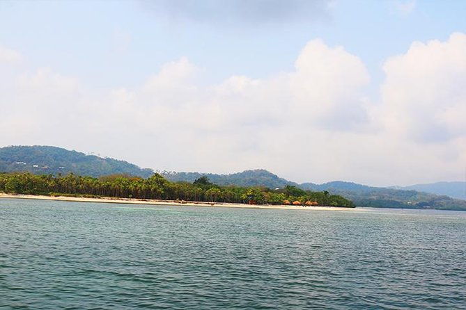 roatan-north-side-mangroves-starfish-shipwreck-snorkeling-transportation