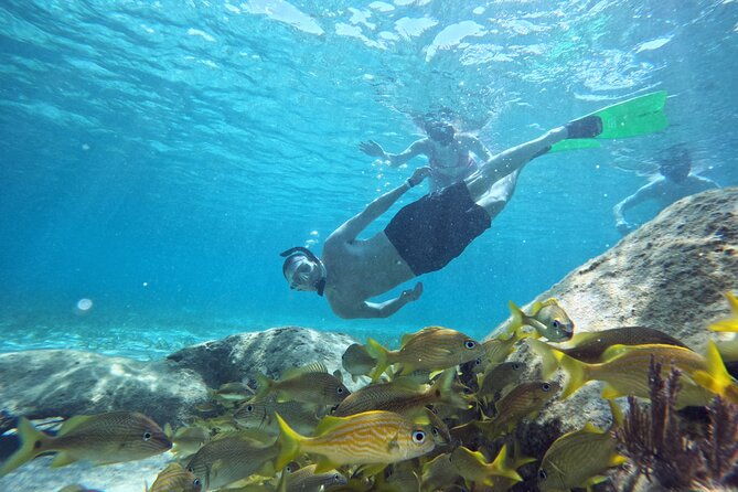 roatan-reef-snorkel-adventure
