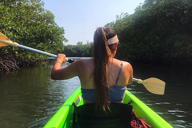 roatan-shore-excursion-kayak-harbor-adventure-and-reef-snorkel