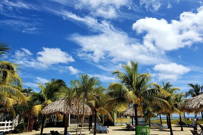 roatan-shore-excursion-the-all-in-one-roatan-adventure