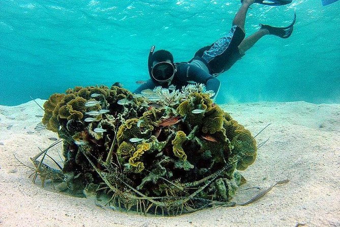 roatan-shore-excursion-the-all-in-one-roatan-adventure