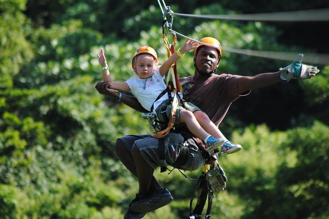 roatan-shore-excursion-zip-n-dip-canopy-tour