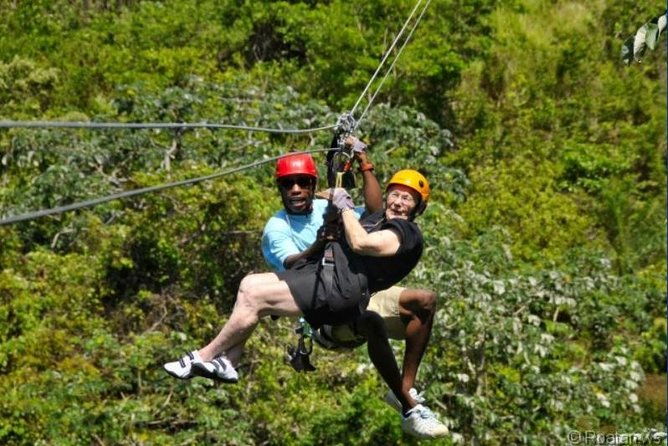 roatan-shore-excursion-zip-n-dip-canopy-tour