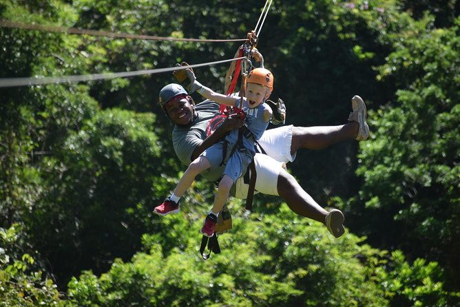 roatan-shore-excursion-zip-n-dip-canopy-tour