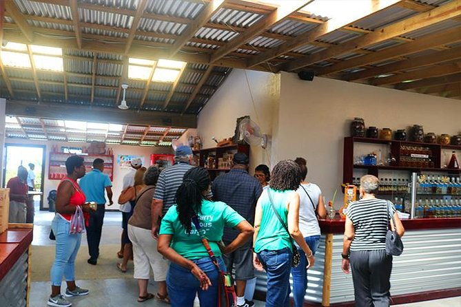 roatan-sightseeing-to-the-chocolate-cameo-cigars-rum-factories