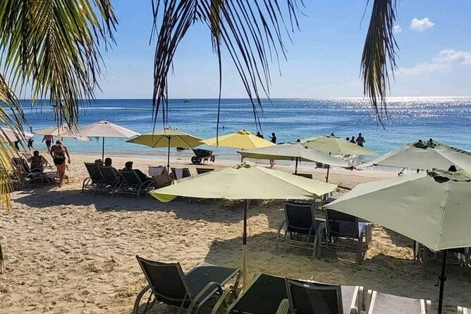 roatan-sloths-monkeys-chocolate-factory-plus-beach-break