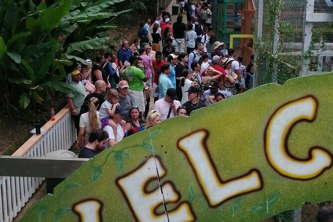 roatan-sloths-monkeys-chocolate-factory-plus-beach-break