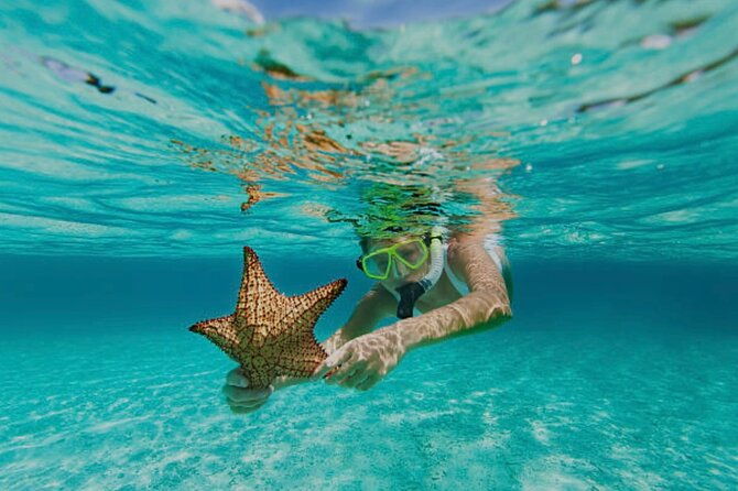 roatan-snorkeling-and-west-bay-beach-break-with-private-driver