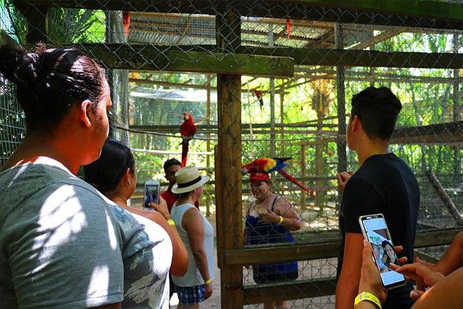 roatan-sun-fun-custom-private-island-tour