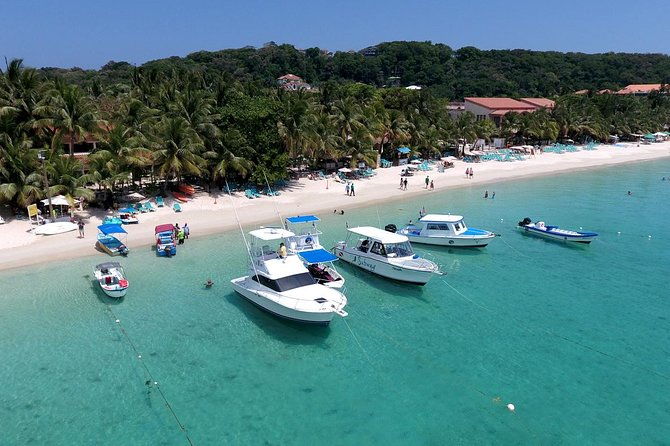 roatan-vip-free-style-private-tour