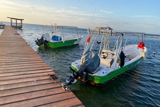 roatans-diving-best-10-dive-package-for-certified-divers