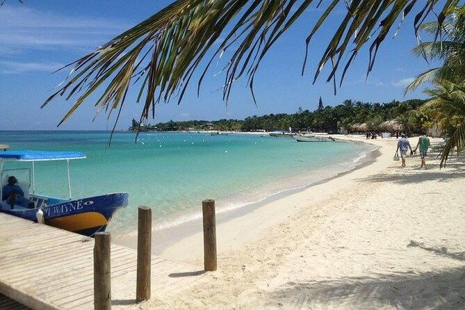 roatans-original-zip-n-dip-zipline-sloths-west-bay-beach