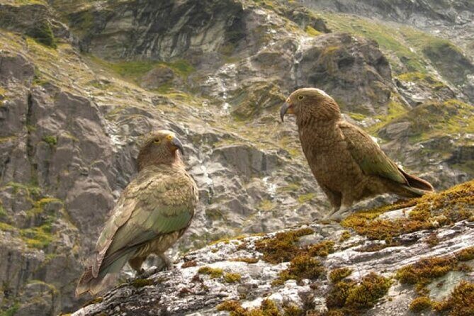 Rob Roy Glacier Guided Walk - FAQs