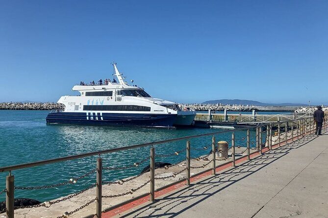 Robben Island and Table Mountain Full Day Private Tour - FAQ