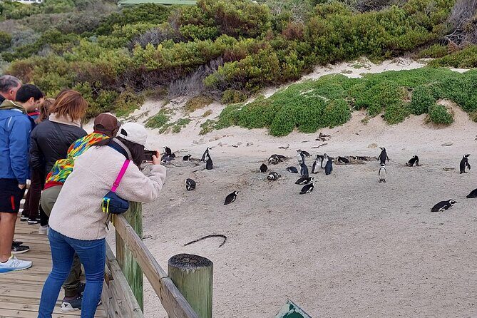 Robben Island and Table Mountain Guided tour - Key Points