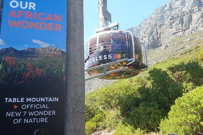 Robben Island and Table Mountain Guided tour - Why This Tour Offers Great Value