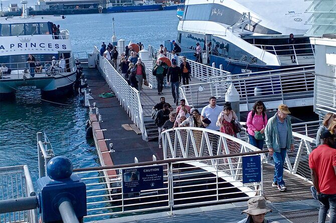 Robben Island and Table Mountain Pre Booked Tickets - What’s Included and What’s Not
