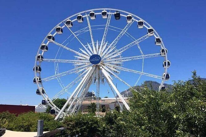 Robben Island Guided Tour & Two Ocean Aquarium with tickets - Pricing and what it includes
