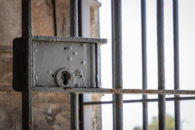 Robben Island Half Day Tour with Pre-Booked Ticket(s) - The Journey: From the Waterfront to the Island