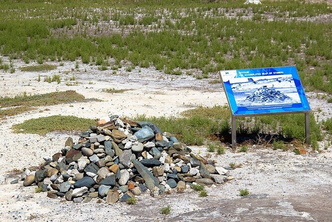 Robben Island Half Day Tour with Pre-Booked Ticket(s) - Who Should Consider This Tour?