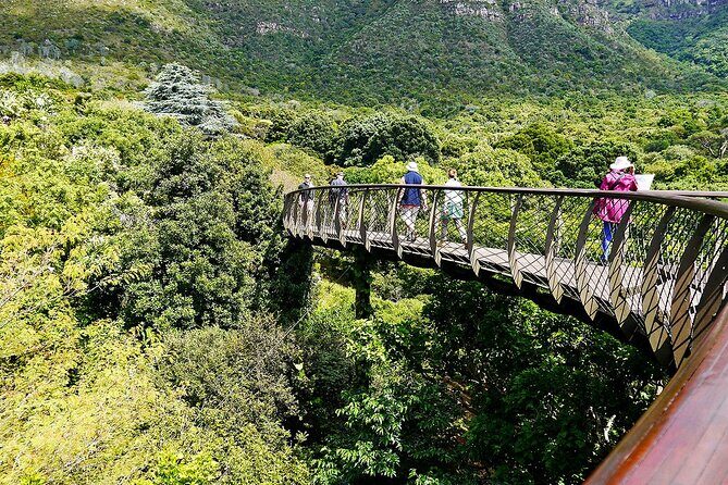Robben Island, Kirstenbosch wine tasting Tour - Groot Constantia: A Heritage and Wine Experience