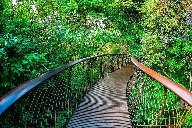 Robben Island, Kirstenbosch wine tasting Tour - Final Thoughts: Who Should Consider This Tour?