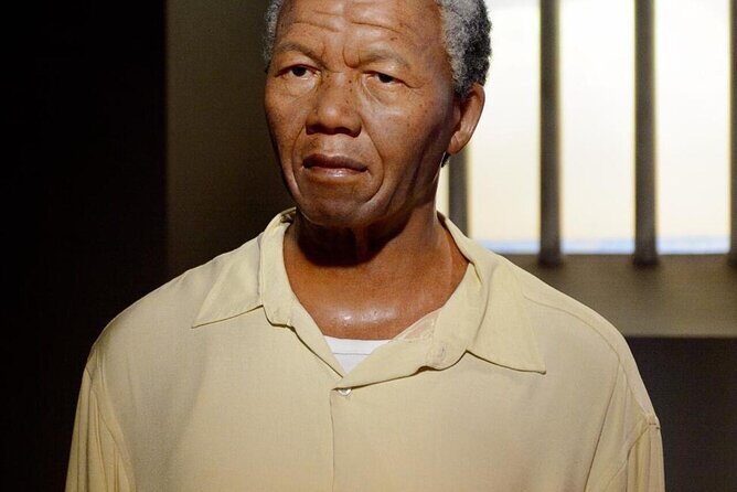 Robben Island Museum Half-Day Tour. Including all tickets. - Who Should Consider This Tour?