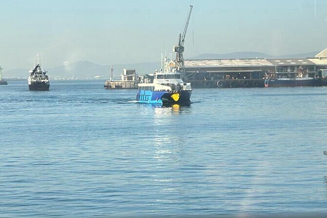 Robben Island Museum Half-Day Tour. Including all tickets. - The Sum Up