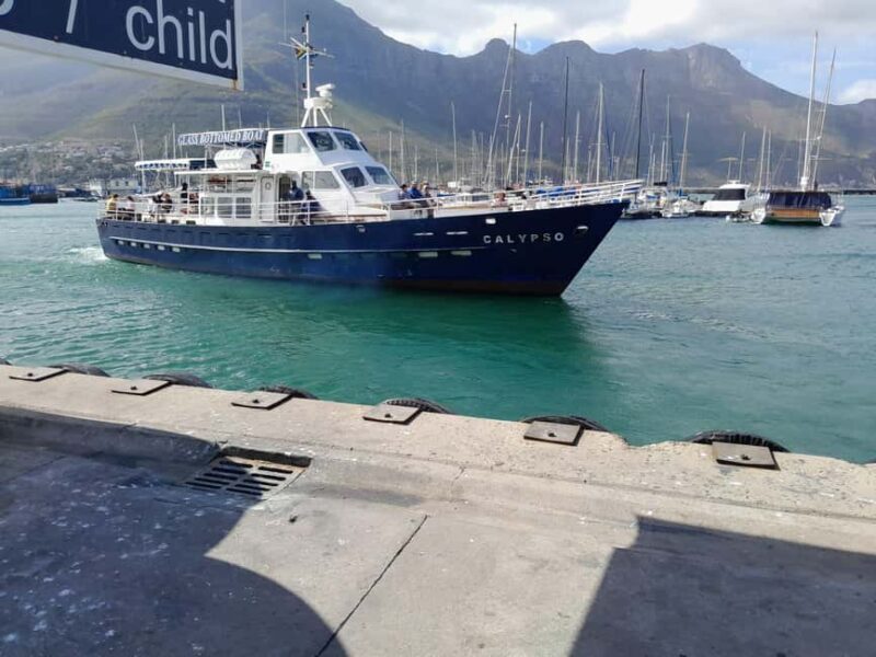 Robben Island, Penguins & Cape of Good Hope Adventure - Discovering Cape Town’s Icons: Robben Island, Penguins & Cape of Good Hope Adventure
