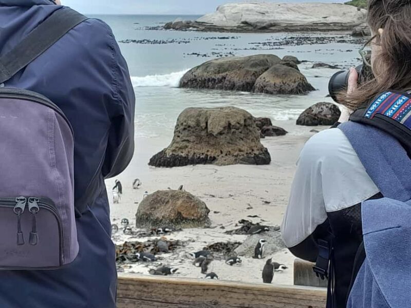 Robben Island, Penguins & Cape of Good Hope Adventure - Key Points