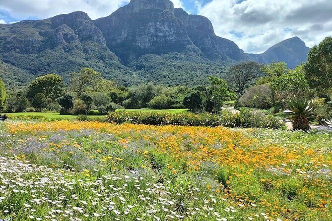 Robben Island, Table Mountain and kirstenbosch from Cape Town - Final Thoughts