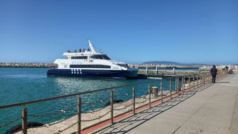 Robben Island, Table Mountain & Kirstenbosch, From Cape Town - Key Points