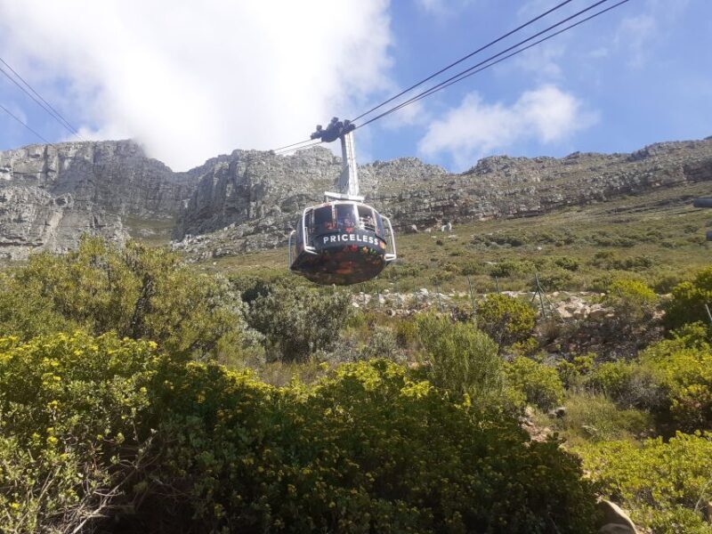 Robben Island, Table Mountain & Kirstenbosch, From Cape Town - The Sum Up