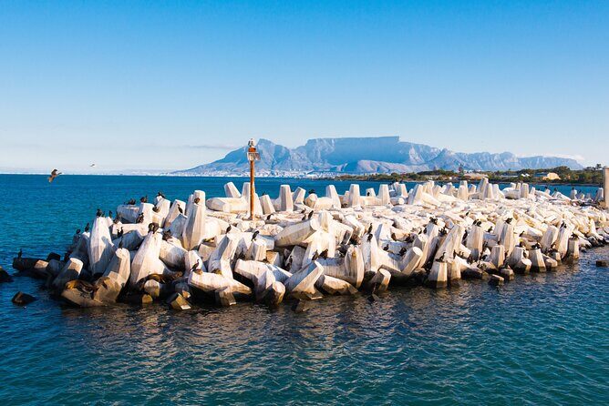 Robben Island Tour; Pickup, Drop-off; Guided Tour Historic Prison - Key Points