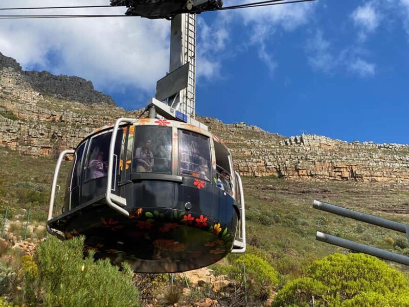 Robben Island Tour & Table Mountain guided Tour - Key Points
