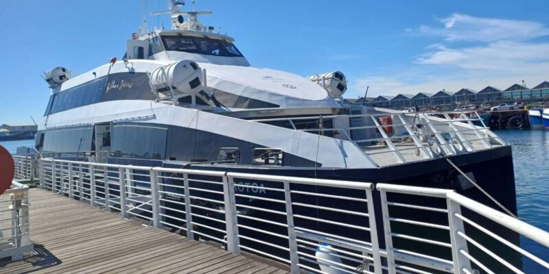 Robben island,Cape of good hope ,Penguin, Muizenberg,Bokaap - Note: All information is based on the provided tour details and guest reviews. For the most current prices and availability, consult the tour provider directly.