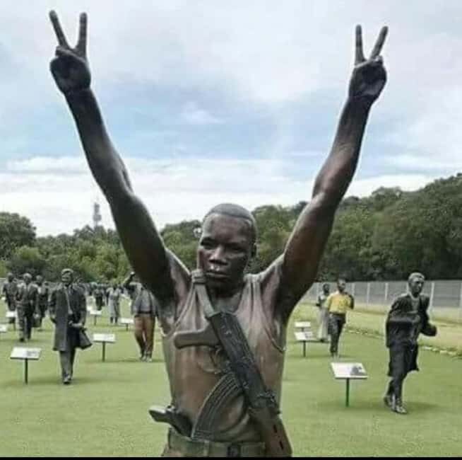 Robben Island&Long Walk to Freedom Tour.All Tickets included - Why This Tour Offers Excellent Value