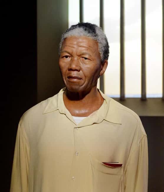 Robben Island&Long Walk to Freedom Tour.All Tickets included - The Sum Up