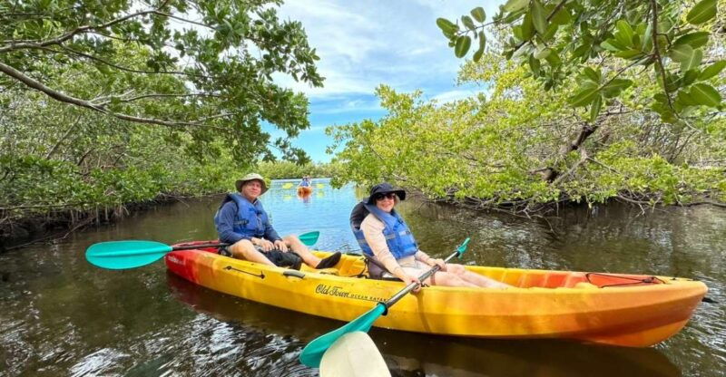 robinson-preserve-mangrove-tour