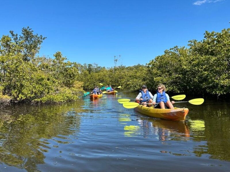 robinson-preserve-mangrove-tour