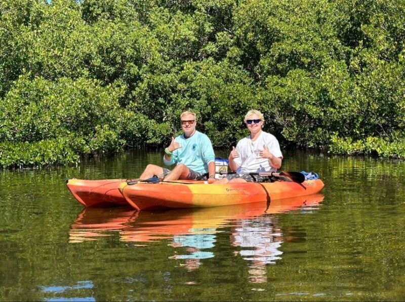 robinson-preserve-mangrove-tour