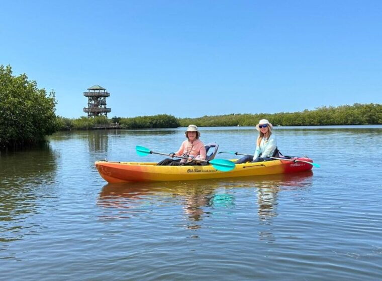 robinson-preserve-mangrove-tour