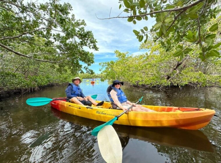 robinson-preserve-mangrove-tour