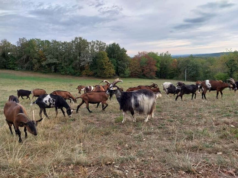 Rocamadour: Travel sketchbook - The Artistic Practice and Learning