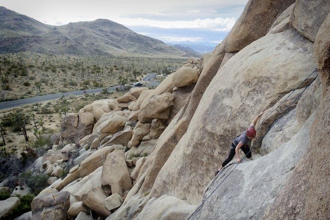 rock-climbing-trips-in-joshua-tree-national-park-4-hours