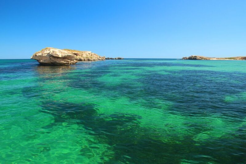 Rockingham: 3 Island Wildlife Snorkeling Cruise with Lunch - Value and Booking Considerations
