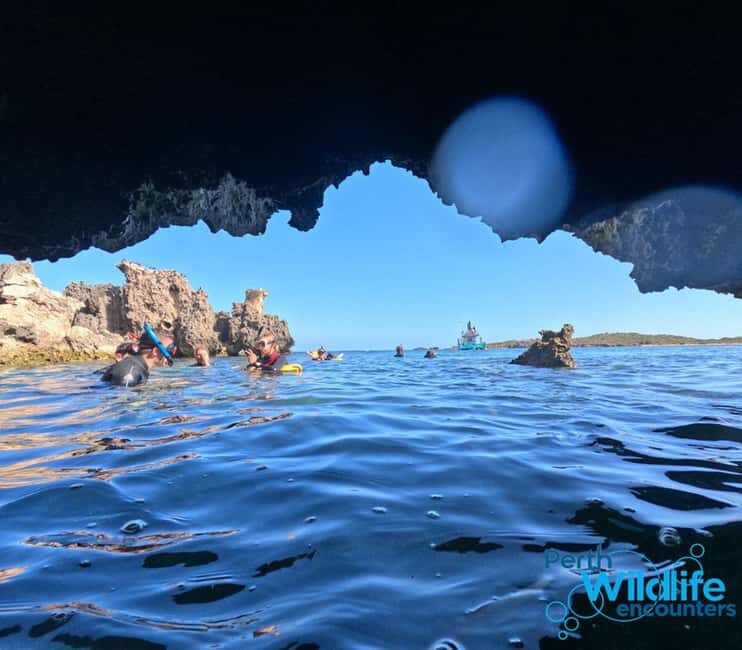 Rockingham: 3 Island Wildlife Snorkeling Cruise with Lunch - The Sum Up