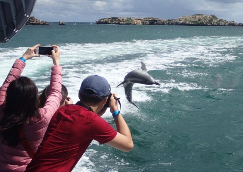 Rockingham: 3 Island Wildlife Snorkeling Cruise with Lunch - FAQ