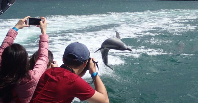 Rockingham: Shoalwater Islands Tour and Penguin Island - What We Love About This Tour