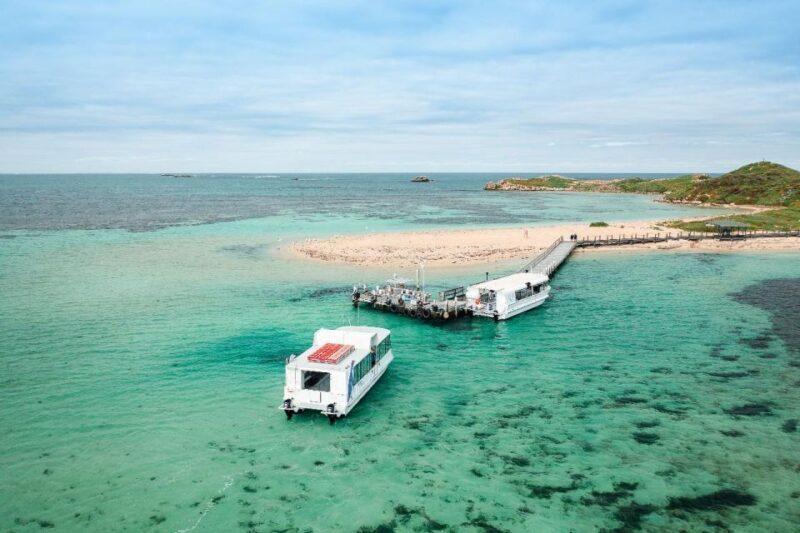 Rockingham: Shoalwater Islands Tour and Penguin Island - Final Thoughts